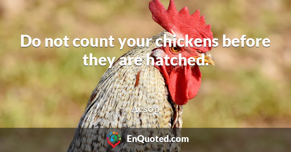 Do not count your chickens before they are hatched.