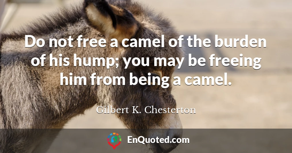Do not free a camel of the burden of his hump; you may be freeing him from being a camel.