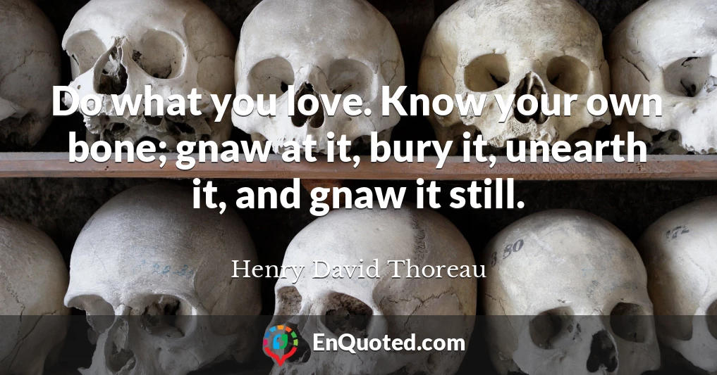 Do what you love. Know your own bone; gnaw at it, bury it, unearth it, and gnaw it still.
