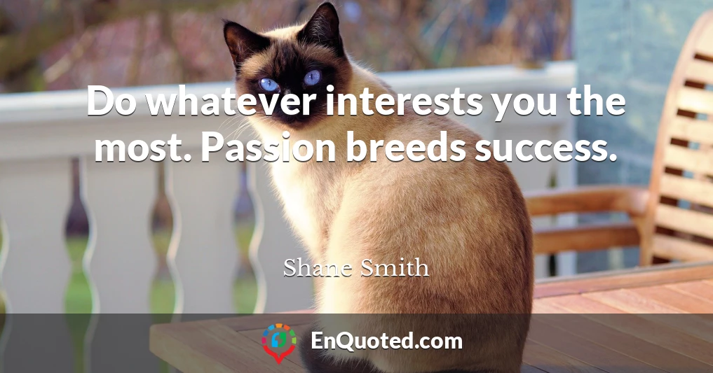Do whatever interests you the most. Passion breeds success.