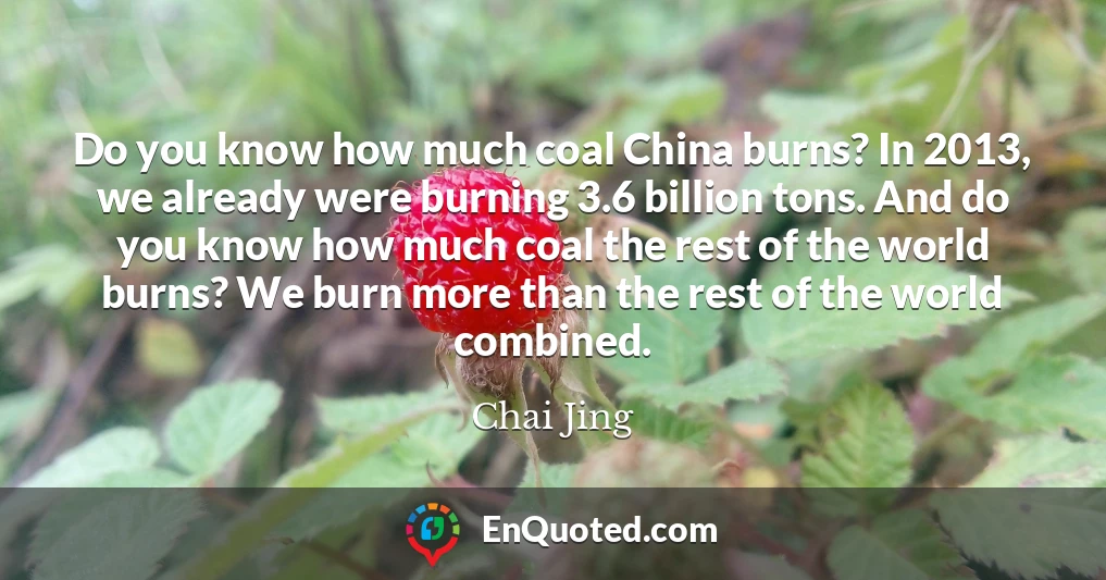 Do you know how much coal China burns? In 2013, we already were burning 3.6 billion tons. And do you know how much coal the rest of the world burns? We burn more than the rest of the world combined.