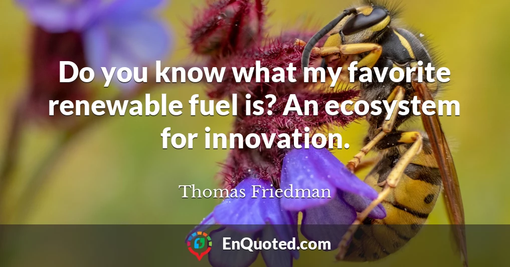 Do you know what my favorite renewable fuel is? An ecosystem for innovation.