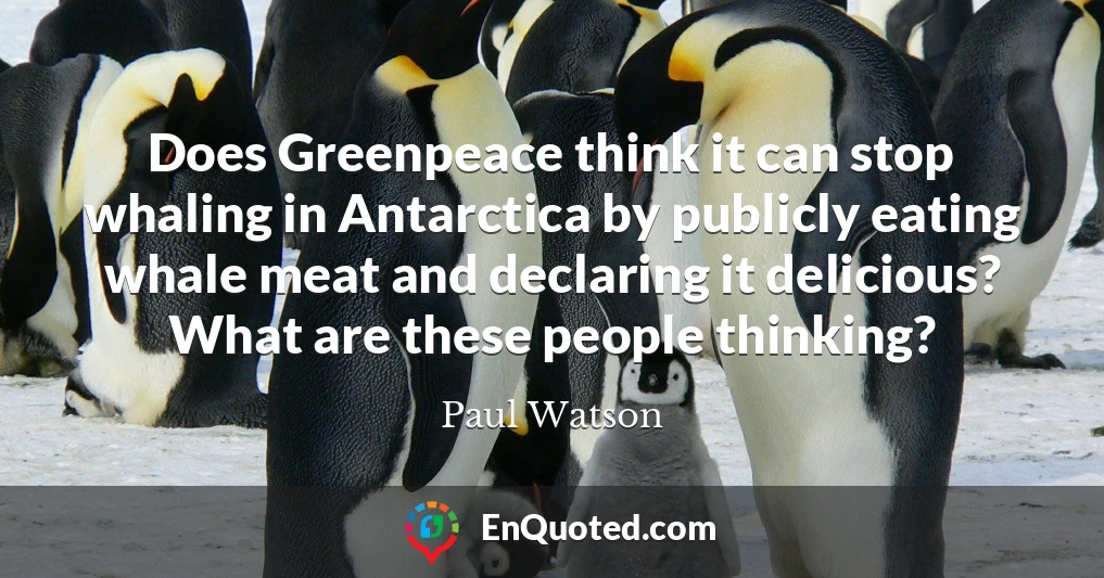 Does Greenpeace think it can stop whaling in Antarctica by publicly eating whale meat and declaring it delicious? What are these people thinking?