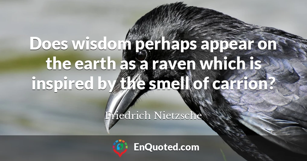 Does wisdom perhaps appear on the earth as a raven which is inspired by the smell of carrion?