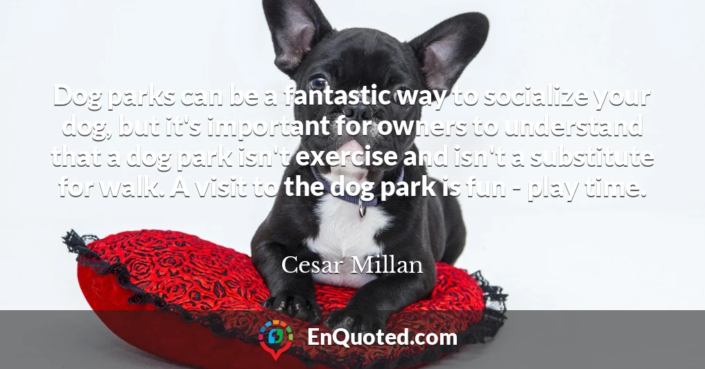 Dog parks can be a fantastic way to socialize your dog, but it's important for owners to understand that a dog park isn't exercise and isn't a substitute for walk. A visit to the dog park is fun - play time.