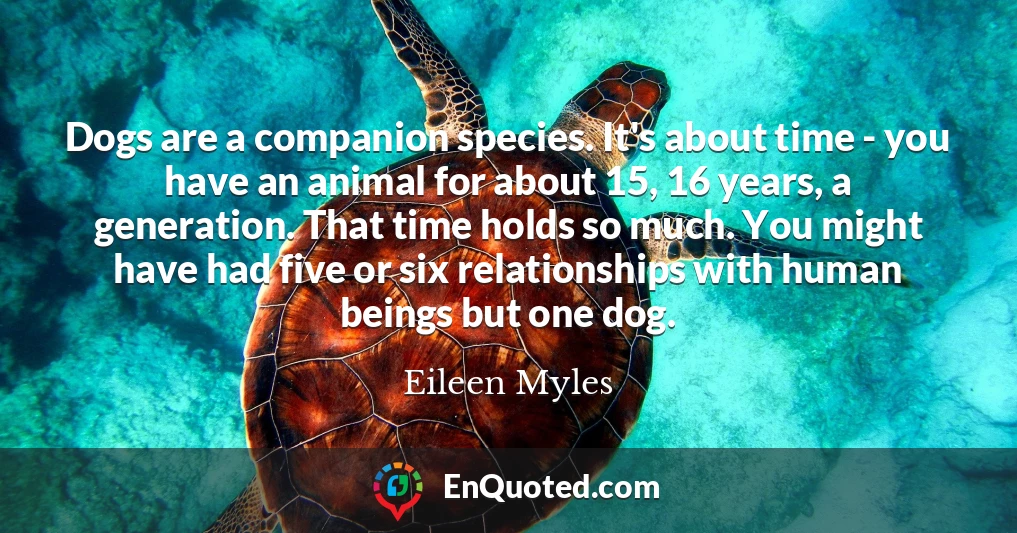 Dogs are a companion species. It's about time - you have an animal for about 15, 16 years, a generation. That time holds so much. You might have had five or six relationships with human beings but one dog.