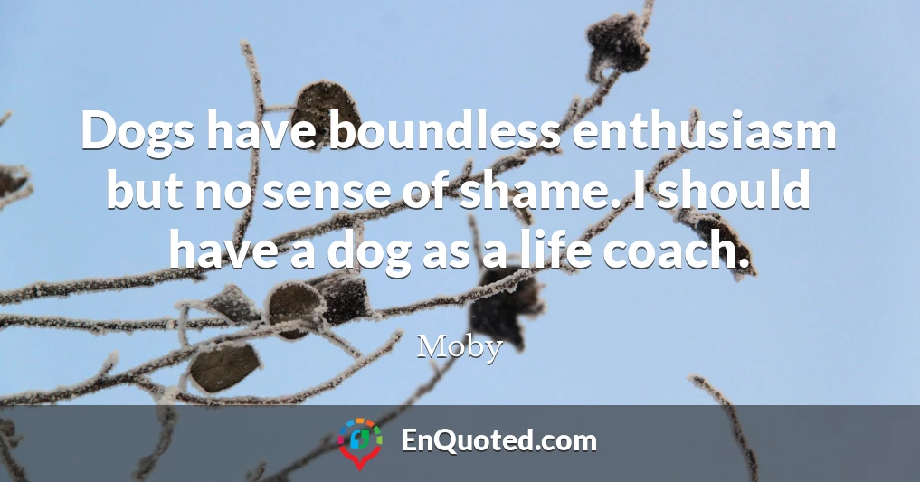 Dogs have boundless enthusiasm but no sense of shame. I should have a dog as a life coach.
