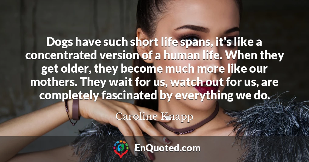 Dogs have such short life spans, it's like a concentrated version of a human life. When they get older, they become much more like our mothers. They wait for us, watch out for us, are completely fascinated by everything we do.