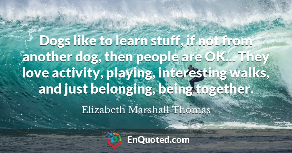 Dogs like to learn stuff, if not from another dog, then people are OK... They love activity, playing, interesting walks, and just belonging, being together.