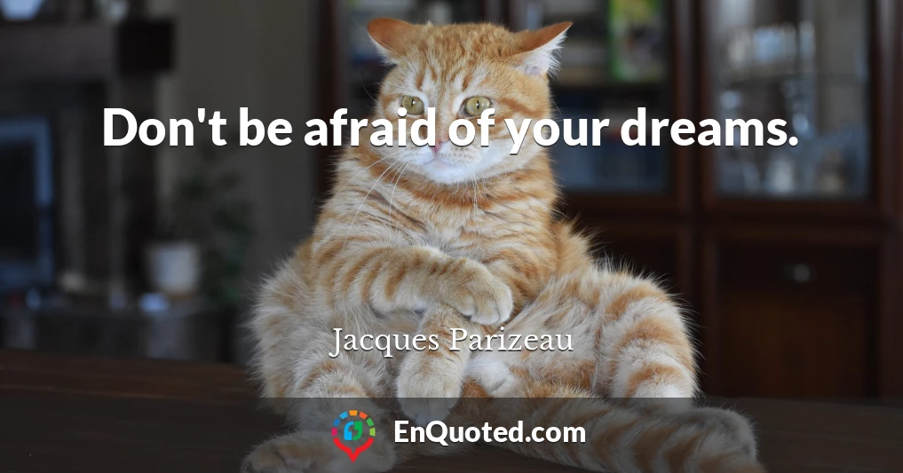 Don't be afraid of your dreams.