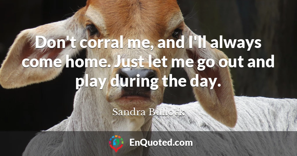 Don't corral me, and I'll always come home. Just let me go out and play during the day.