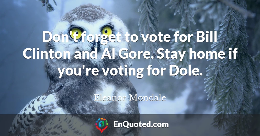 Don't forget to vote for Bill Clinton and Al Gore. Stay home if you're voting for Dole.