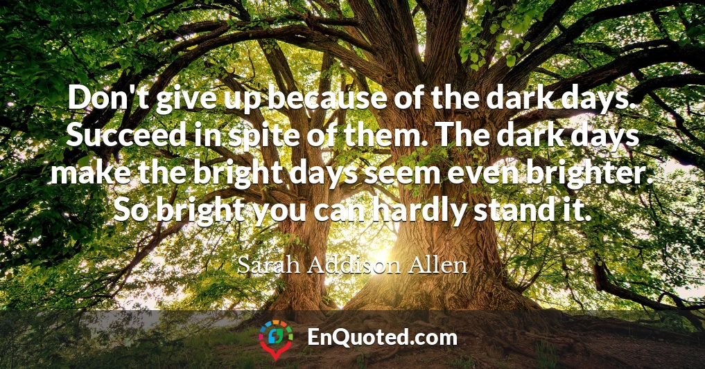 Don't give up because of the dark days. Succeed in spite of them. The dark days make the bright days seem even brighter. So bright you can hardly stand it.