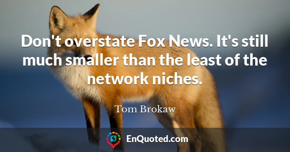 Don't overstate Fox News. It's still much smaller than the least of the network niches.