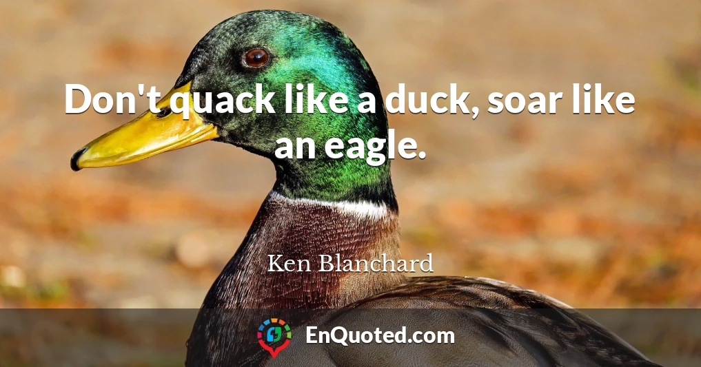 Don't quack like a duck, soar like an eagle.