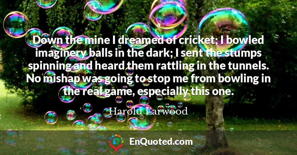 Down the mine I dreamed of cricket; I bowled imaginery balls in the dark; I sent the stumps spinning and heard them rattling in the tunnels. No mishap was going to stop me from bowling in the real game, especially this one.