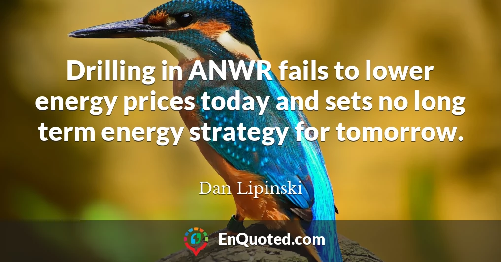 Drilling in ANWR fails to lower energy prices today and sets no long term energy strategy for tomorrow.