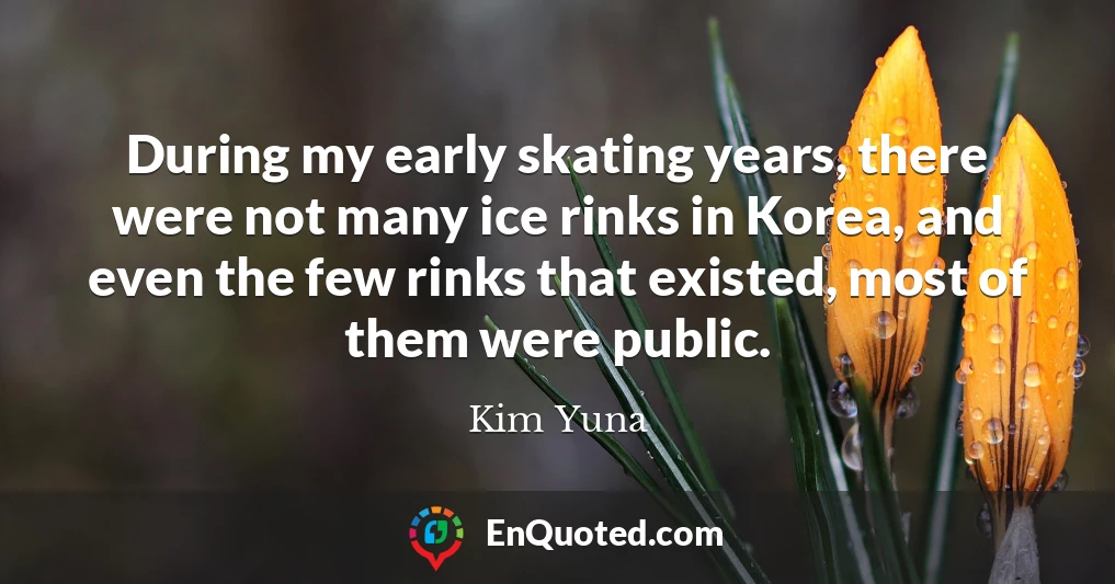 During my early skating years, there were not many ice rinks in Korea, and even the few rinks that existed, most of them were public.