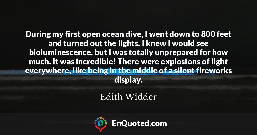 During my first open ocean dive, I went down to 800 feet and turned out the lights. I knew I would see bioluminescence, but I was totally unprepared for how much. It was incredible! There were explosions of light everywhere, like being in the middle of a silent fireworks display.