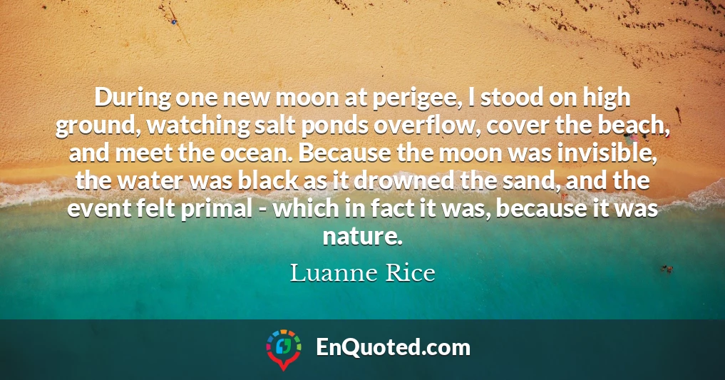 During one new moon at perigee, I stood on high ground, watching salt ponds overflow, cover the beach, and meet the ocean. Because the moon was invisible, the water was black as it drowned the sand, and the event felt primal - which in fact it was, because it was nature.