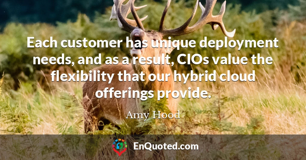 Each customer has unique deployment needs, and as a result, CIOs value the flexibility that our hybrid cloud offerings provide.