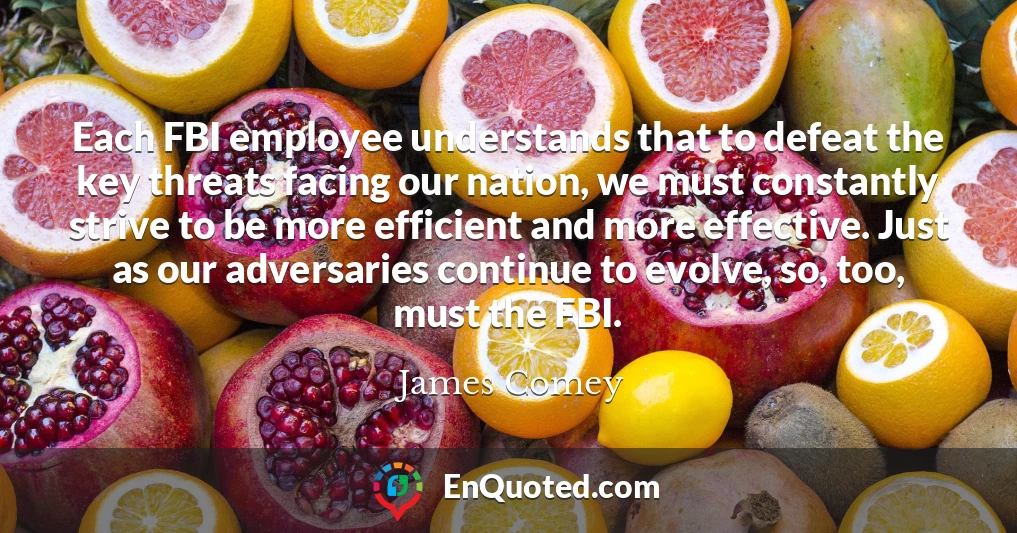 Each FBI employee understands that to defeat the key threats facing our nation, we must constantly strive to be more efficient and more effective. Just as our adversaries continue to evolve, so, too, must the FBI.