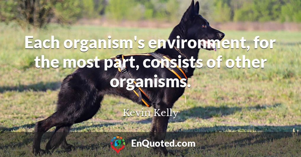 Each organism's environment, for the most part, consists of other organisms.