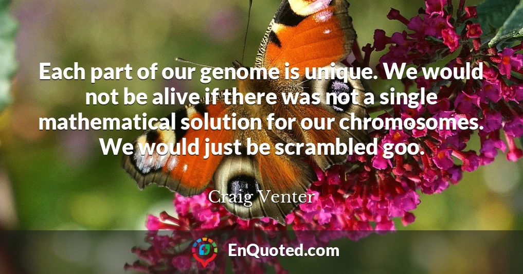 Each part of our genome is unique. We would not be alive if there was not a single mathematical solution for our chromosomes. We would just be scrambled goo.