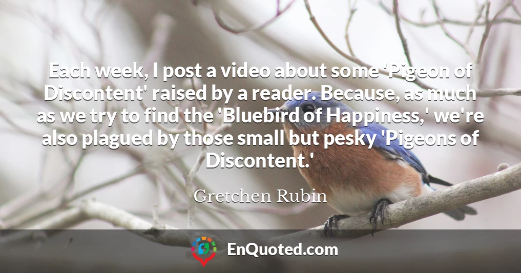 Each week, I post a video about some 'Pigeon of Discontent' raised by a reader. Because, as much as we try to find the 'Bluebird of Happiness,' we're also plagued by those small but pesky 'Pigeons of Discontent.'
