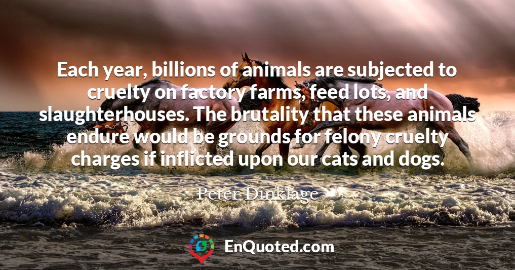 Each year, billions of animals are subjected to cruelty on factory farms, feed lots, and slaughterhouses. The brutality that these animals endure would be grounds for felony cruelty charges if inflicted upon our cats and dogs.