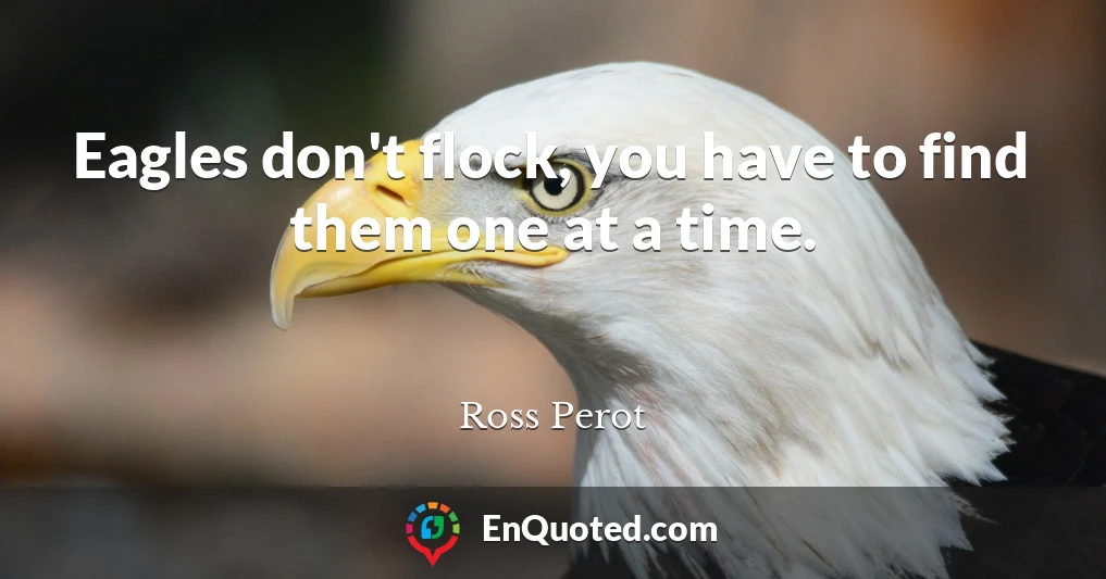 Eagles don't flock, you have to find them one at a time.