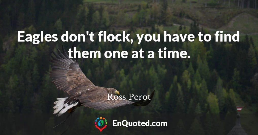 Eagles don't flock, you have to find them one at a time.