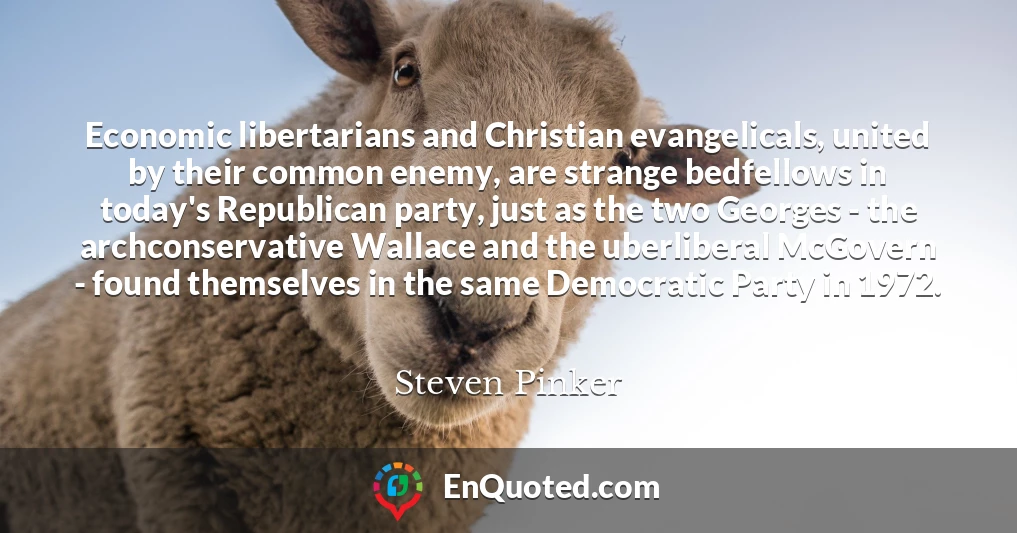 Economic libertarians and Christian evangelicals, united by their common enemy, are strange bedfellows in today's Republican party, just as the two Georges - the archconservative Wallace and the uberliberal McGovern - found themselves in the same Democratic Party in 1972.