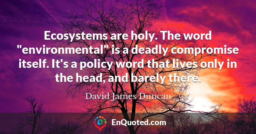 Ecosystems are holy. The word "environmental" is a deadly compromise itself. It's a policy word that lives only in the head, and barely there.