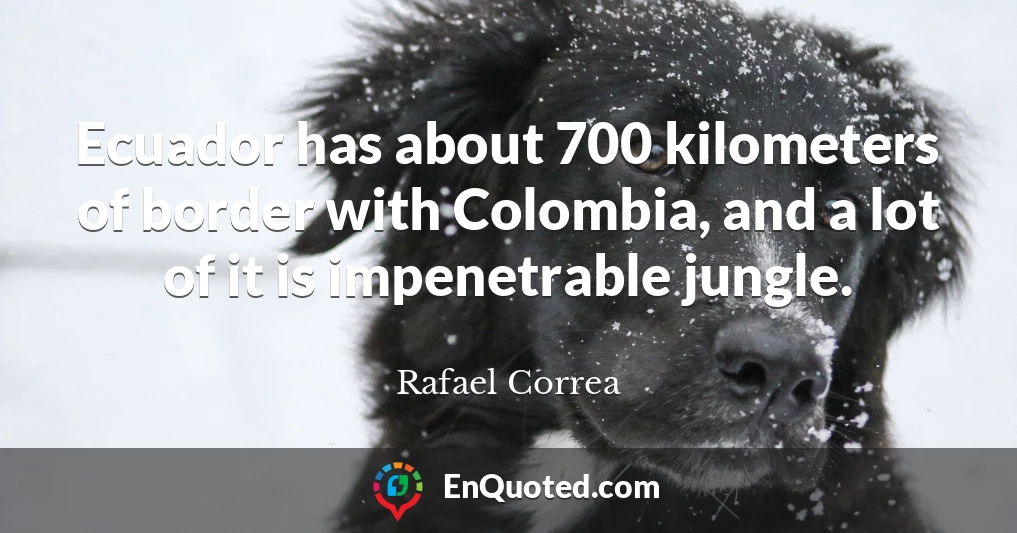 Ecuador has about 700 kilometers of border with Colombia, and a lot of it is impenetrable jungle.