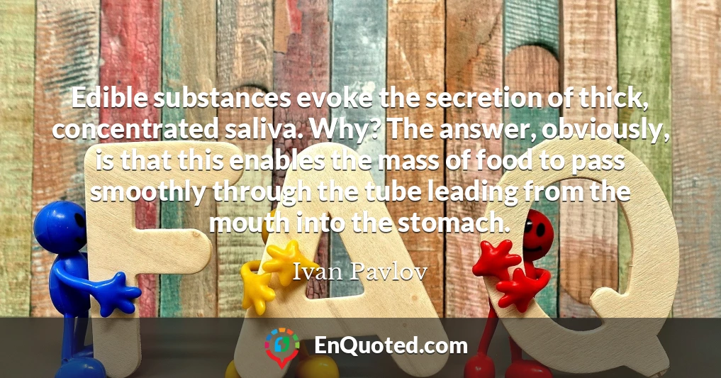 Edible substances evoke the secretion of thick, concentrated saliva. Why? The answer, obviously, is that this enables the mass of food to pass smoothly through the tube leading from the mouth into the stomach.