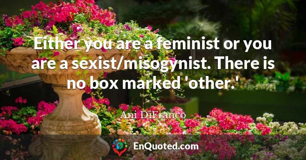 Either you are a feminist or you are a sexist/misogynist. There is no box marked 'other.'