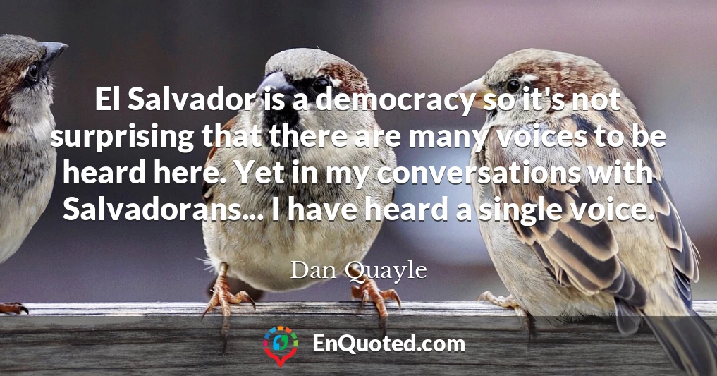 El Salvador is a democracy so it's not surprising that there are many voices to be heard here. Yet in my conversations with Salvadorans... I have heard a single voice.
