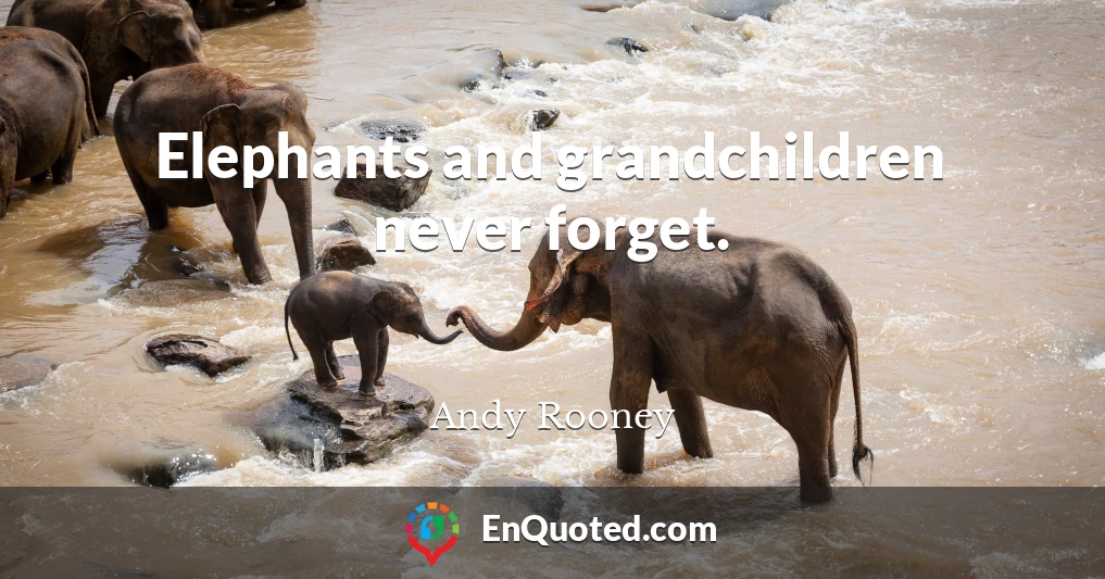 Elephants and grandchildren never forget.