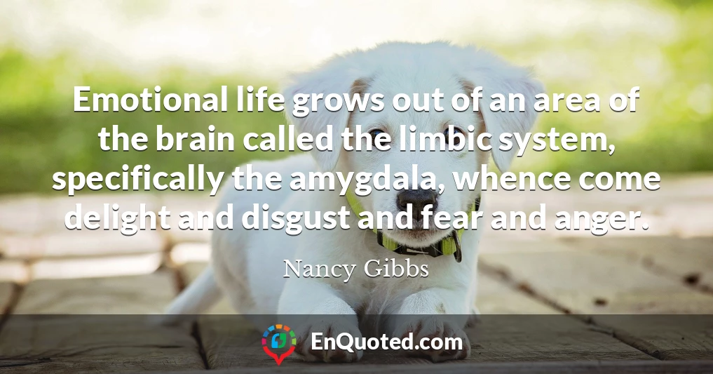 Emotional life grows out of an area of the brain called the limbic system, specifically the amygdala, whence come delight and disgust and fear and anger.