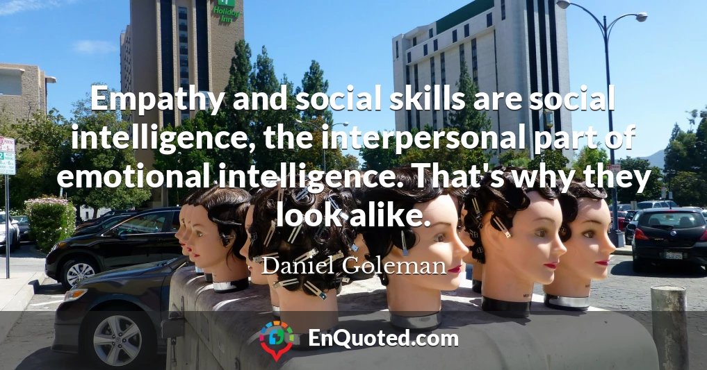 Empathy and social skills are social intelligence, the interpersonal part of emotional intelligence. That's why they look alike.