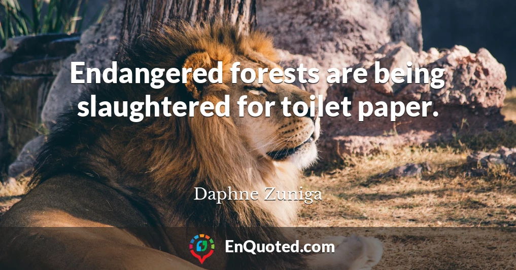 Endangered forests are being slaughtered for toilet paper.