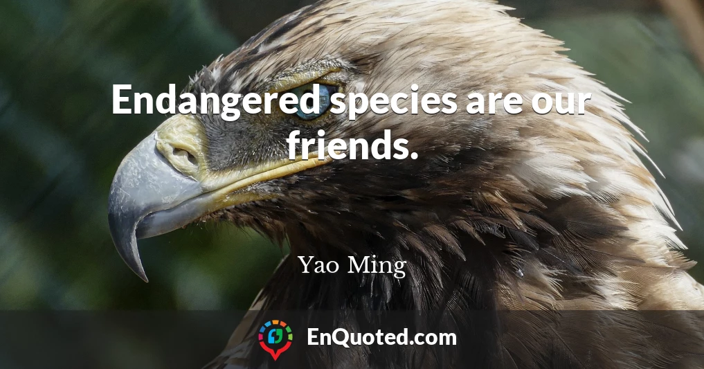 Endangered species are our friends.