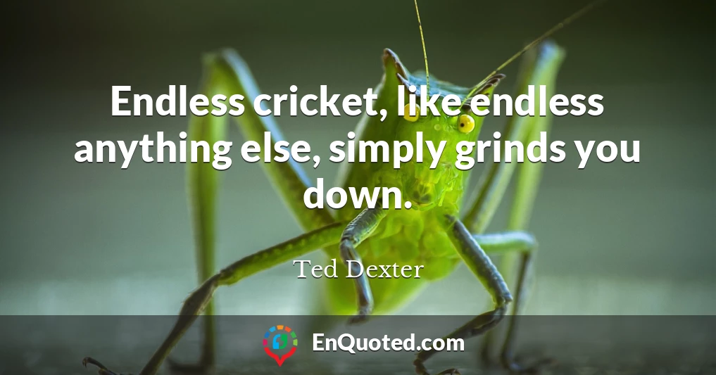 Endless cricket, like endless anything else, simply grinds you down.