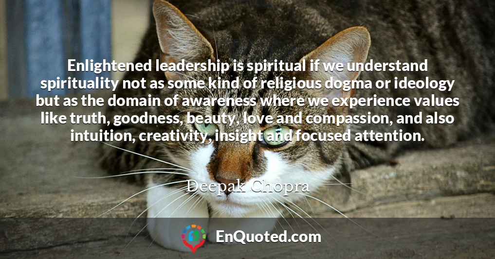 Enlightened leadership is spiritual if we understand spirituality not as some kind of religious dogma or ideology but as the domain of awareness where we experience values like truth, goodness, beauty, love and compassion, and also intuition, creativity, insight and focused attention.