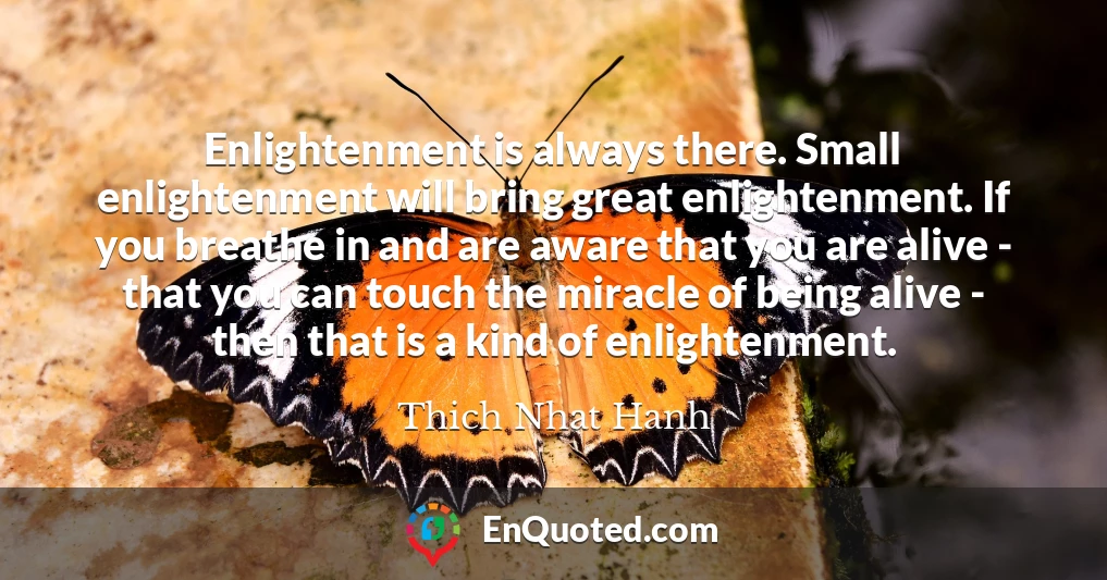 Enlightenment is always there. Small enlightenment will bring great enlightenment. If you breathe in and are aware that you are alive - that you can touch the miracle of being alive - then that is a kind of enlightenment.