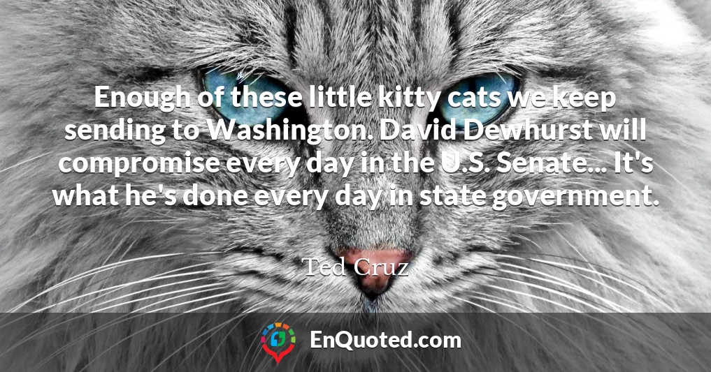 Enough of these little kitty cats we keep sending to Washington. David Dewhurst will compromise every day in the U.S. Senate... It's what he's done every day in state government.