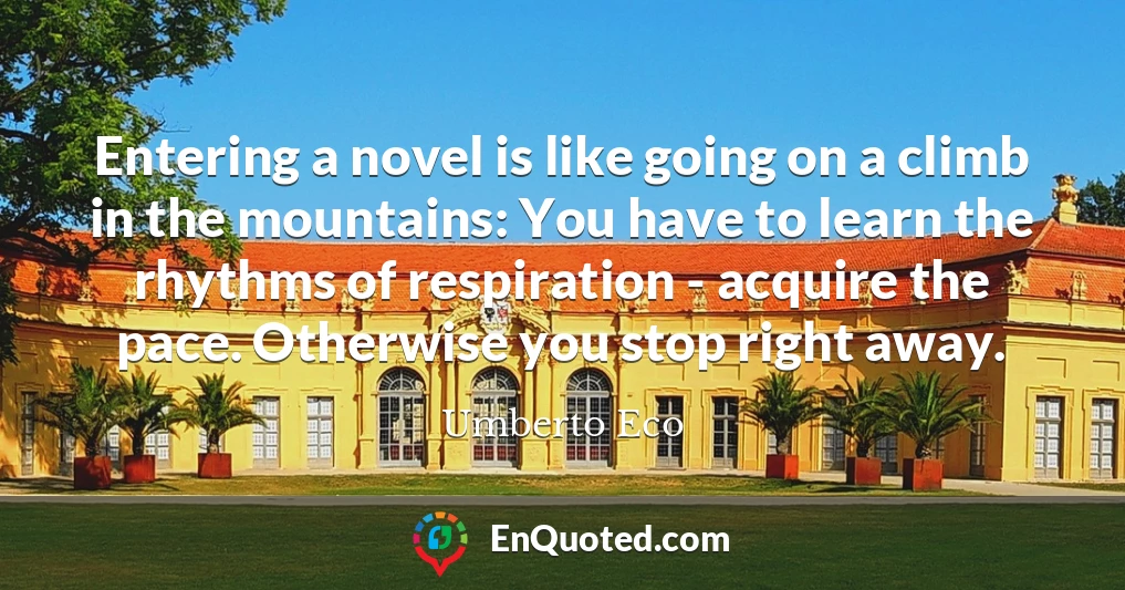 Entering a novel is like going on a climb in the mountains: You have to learn the rhythms of respiration - acquire the pace. Otherwise you stop right away.