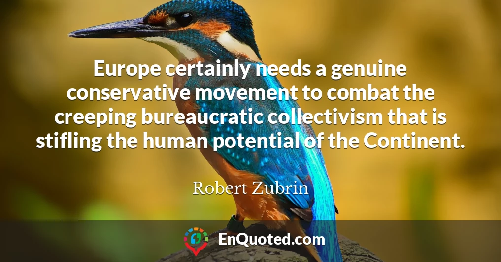 Europe certainly needs a genuine conservative movement to combat the creeping bureaucratic collectivism that is stifling the human potential of the Continent.
