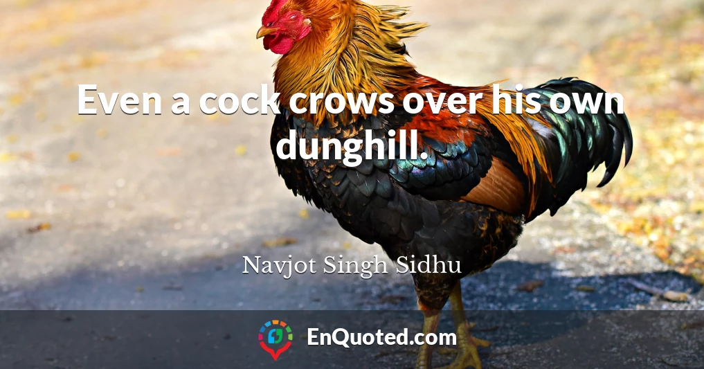 Even a cock crows over his own dunghill.